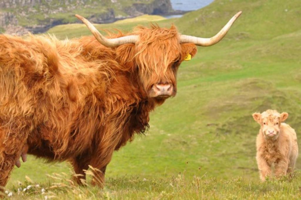 Glas Bheinn Cottage Luib Buitenkant foto
